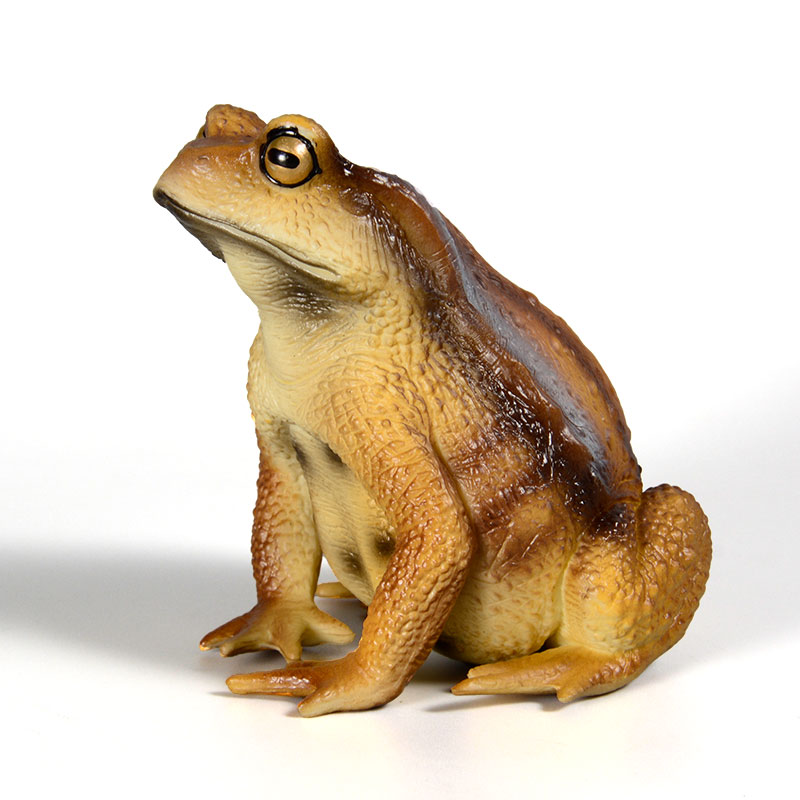 Kids Toys Packaging - Figur Katak Amfibi Model Serangga Simulasi