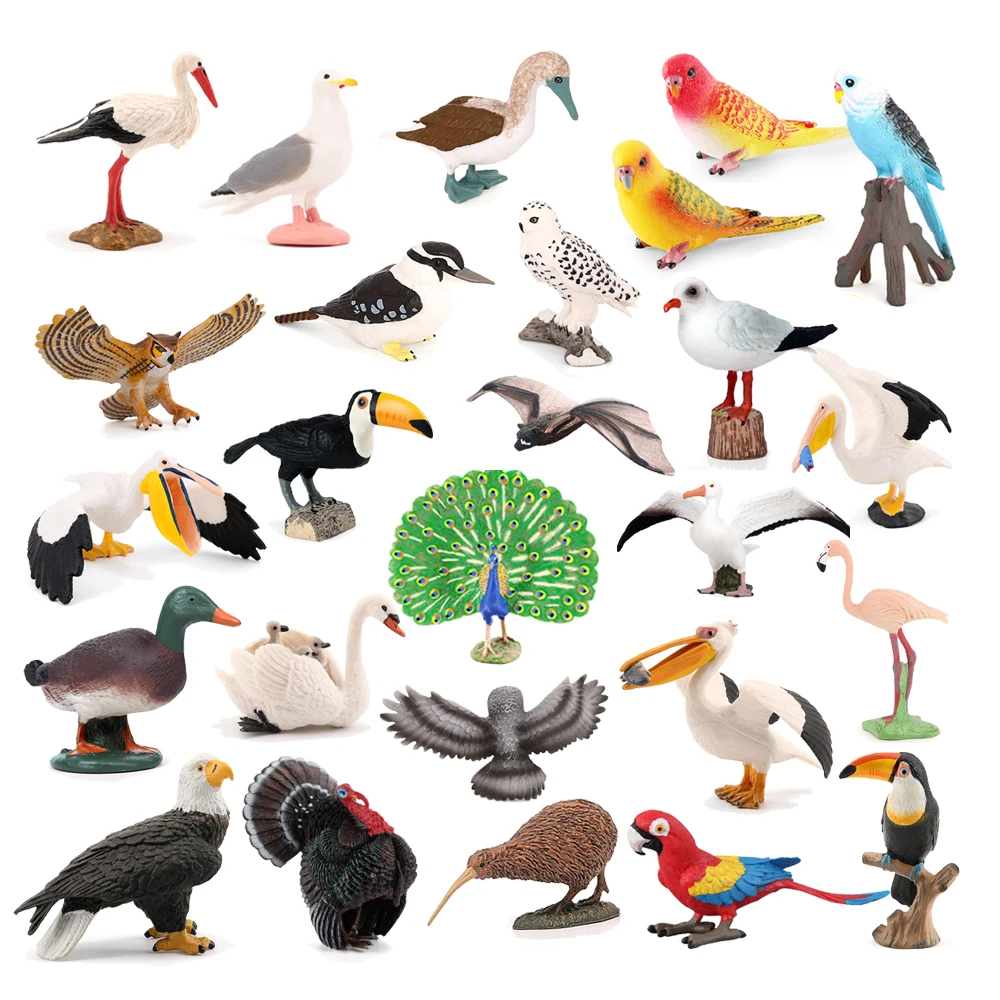 Kids Toys Under 200 - Kiwi burung hutan hewan angka merak