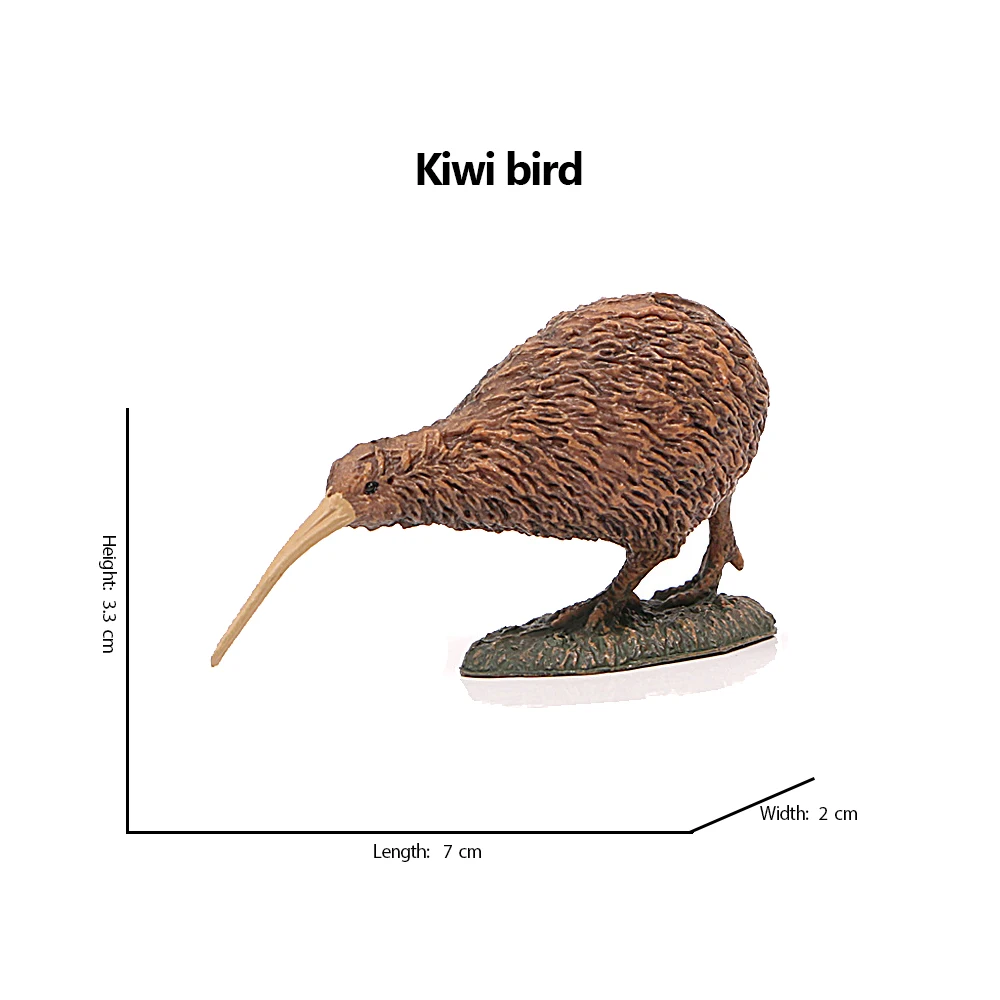 Kiwi burung hutan hewan angka  - Kids Toys Under 200 ulasan dan harga